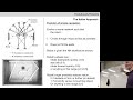 Evolutionary Robotics course. Lecture 09. The first years of the field, contd.