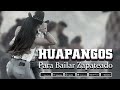 Mix de Huapangos 2024 ~ Huapangos Para Bailar Zapateado ~ Puros Huapangos Para Bailar Mix 2024