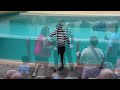 HILARIOUS Tom The SeaWorld Mime (ARRIVE EARLY)