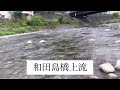 興津川アユ釣り今日の川の状況