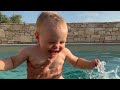 My Labrador Retriever Protects My Baby from Poolside!