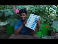 Electronic Voting Machine Making at Home | ஓட்டு போடும் இயந்திரம்! | Science Exhibition Project