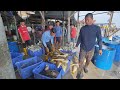 28/03/2024 Jual | Beli IKAN at Jeti Nelayan Sungai Udang Penang