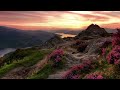 Native American Radio 247 Relaxing Music, Sleep Music, Meditation Music, Calm Music, Study Music🎷