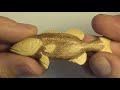 How to Carve a Fish Pendant from Wood