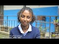አፍላ ፍቅር 56 - School life /ስኩል ላይፍ/#seifuonebs #lovestory #dinklijoch #ebs #ethiopiantiktok#insurance