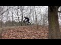 Cyclocross trening