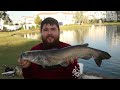 Fishing w/ BIG Livebait in a SMALL Pond (INSANE)