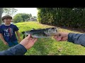 Block of wood lure catches____