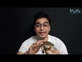 baby turtle not eating food | why new baby turtles dont eate | turtle not eating food hindi