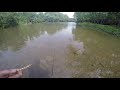 Summer Smallmouth in PA