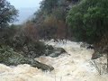 The junction of Whitlock and Sherlock creeks, our unique backyard