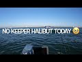 San Diego Bay Harbor Island Drop Shot Kayak Fishing #Halibut #Spotted Bass