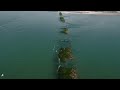 Baie de Somme vu du ciel