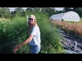 July Garden Harvest & Tour!