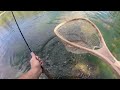 Fly Fishing NATIVE Trout at a MOUNTAIN Lake!! (Catch & Cook)