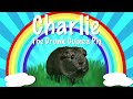Smosh - Charlie The Drunk Guinea Pig  (Japanese Intro)