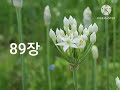 시편낭송81장~90장