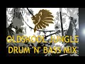 Oldskool Jungle Drum n Bass Mix Pt. II 94-95