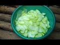 Harvesting a 70-year-old plum garden in the high mountains and selling the fruit at the market