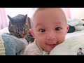 What Happends When Cute Cats Takes Care of Baby || Cool Peachy