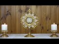 Live Adoration of the Blessed Sacrament.