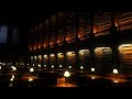 Starry Night Study Session | Dark Academia Ambience for Study, Sleep, and Relaxation