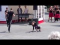 Lucas Breakdance