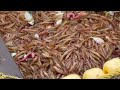 OMG! Tons of Mackerel and Prawns Caught in a Single Catch | Traditional Fishing