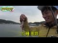 晩秋の堤防はライトタックルでどんな魚が釣れる？