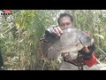 Spot Teratai Ternyata Tempatnya Nila Super Babon Bersarang.!! Mancing Nila Liar.!! Mancing Liar