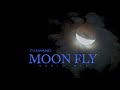 MOON FLY( Radio Mix) Dubstep Electronic Dance Music by PJ Grand