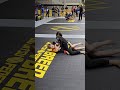 Newbreed Spring 2023 No-gi Semi-final