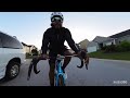 Trek Madone SLR Project 1 First Ride | RobbArmstrong