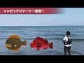 初心者必見！なんでも釣れるショアジギングのしゃくり方