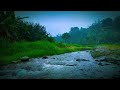 River sounds for deep sleep asmr forest sounds rainforest sounds nature sounds for relaxation
