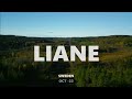 Autumn Colors of LIANE | 4K Drone • Sweden 🇸🇪