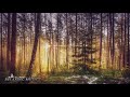 Relaxing Piano Music: Romantic Music, Beautiful Relaxing Music, Sleep Music, Stress Relief