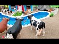 DIY how to make mini Cows, Horse Farm Diorama - Cattle Farm - Barn Animal - Farm House