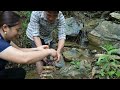 Harvest Frogs & Crabs After Summer Rain Goes To Market Sell - Lý Thị Ca