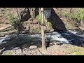 Urban Kayaking Adventure: 8 Miles on the Bronx River in NYC