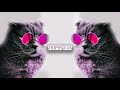 Special After Minimal Techno Mix 2020 [ Trippy Cat ]