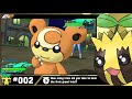 Pokémon SUNkern Solo-Run | They Made Me Hurt My Bear!!