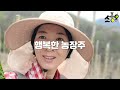 김장배추 1차웃거름 이거랑 같이줘야 효과있어요. 안주면 효과 못봅니다. 꼭 영상확인하셔서 같이주세요