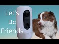 Dog Trainer reviews Eufy Pet Dog Camera D605