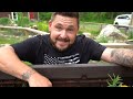 DIY Backyard BABY TORTOISE Garden! (Low Cost & Beautiful)
