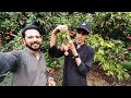 My First Vlog 😍|| Going To Lychee Garden Khanpur 🥰|| Nature With Muzammil