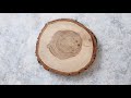 How Do Trees Grow? - Kids STEM #TeamTrees