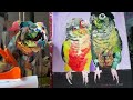 I Paint Pictures: A Loving Green-cheek Conure Couple