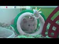 Studio Ghibli Spirited Away Themed Hamster Cage -2/2